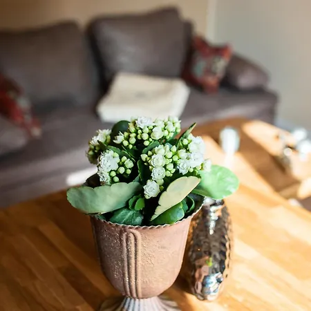 Apartment Berthold Zur Alten Muehle *